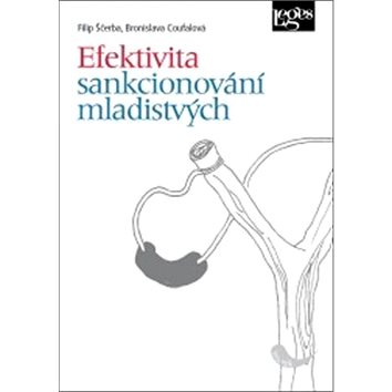 

Efektivita sankcionování mladistvých