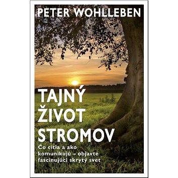 

Tajný život stromov: Čo cítia a ako komunikujú - objavte fascinujúci skrytý svet