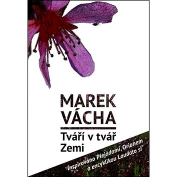 

Kniha Tváří v tvář Zemi: Inspirováno Plejádami, Orionem a encyklikou Laudato si´