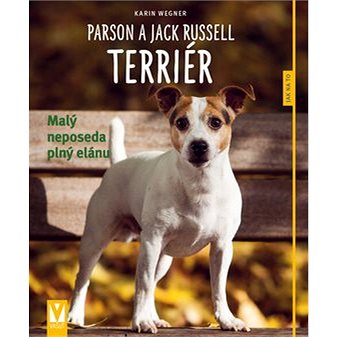 

Parson a Jack Russell teriér: Malý neposeda plný elánu
