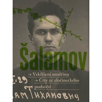 

Vzkříšení modřínů: Črty ze zločineckého podsvětí