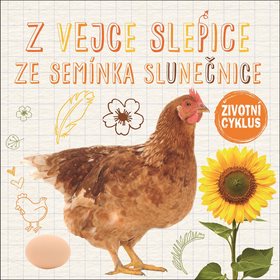 

Z vejce slepice Ze semínka slunečnice: Životní cyklus