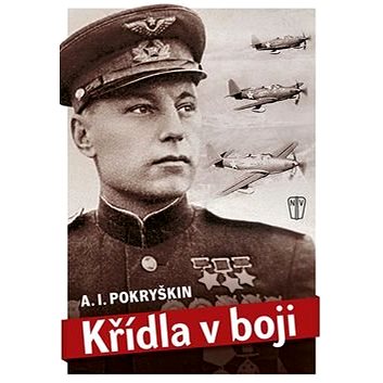 

Křídla v boji