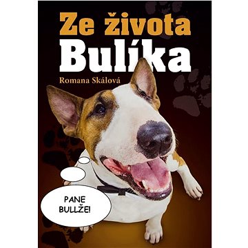 

Ze života Bulíka