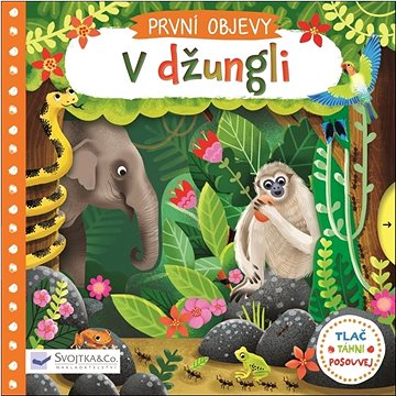 

V džungli: První objevy