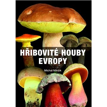 

Hřibovité houby Evropy