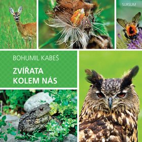 

Zvířata kolem nás