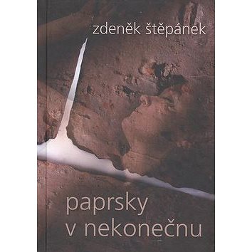 

Paprsky v nekonečnu
