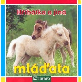 

Hříbátka a jiná mláďata