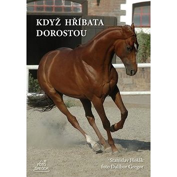 

Když hříbata dorostou