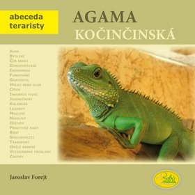 

Agama kočičinská