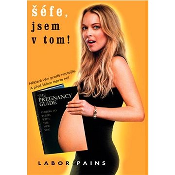 

Šéfe, jsem v tom - DVD