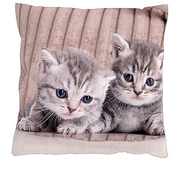 

4sleep Povlak na polštář 40 × 40 cm, na zip velur - Koťátka
