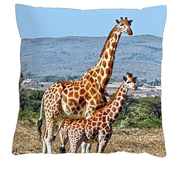 

4sleep Povlak na polštář 40 × 40 cm, na zip velur - Žirafy