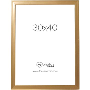 

Focus Pop Gold 30 × 40