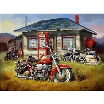 

Gaira Harley Davidson M992572