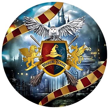 

GUIRCA Papírové talíře čaroděj 23 cm - kouzelník Harry - 6 ks