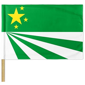 

Arma / DayZ Republic Of Chernarus Flag 120 × 80 cm