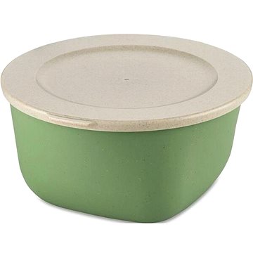 

Gastro Box s víkem Connect 2 l, zelený