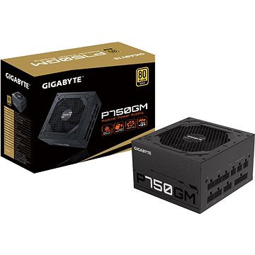 

GIGABYTE P750GM