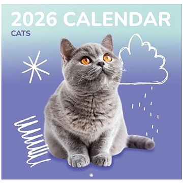 Animals : Cats - Nástěnný kalendář 2026