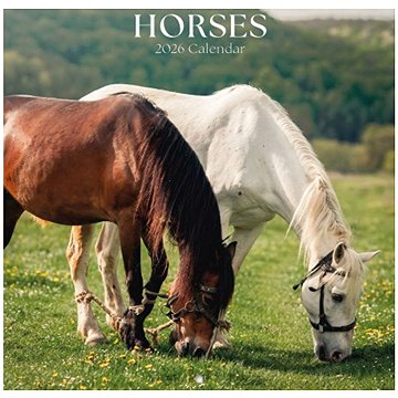 Animals : Horses - Nástěnný kalendář 2026