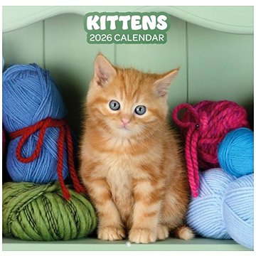 Animals : Kittens - Nástěnný kalendář 2026