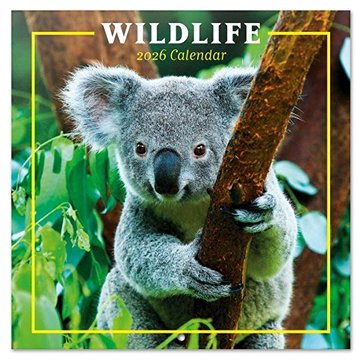 Animals : Wildlife - Nástěnný kalendář 2026