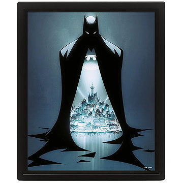 

Batman - Gotham protector 3D