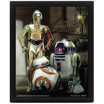 

Star Wars Droids 3D