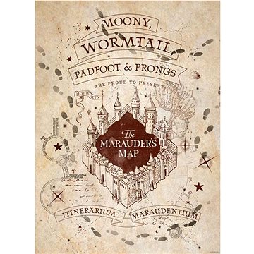 

Harry Potter: Map And School List 38 × 52 cm