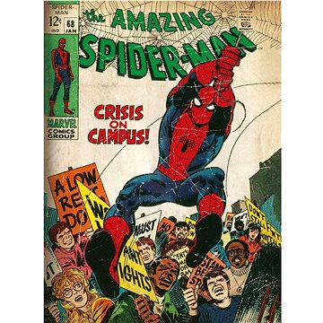 

Marvel Comics: Spiderman And Hulk 38 × 52 cm