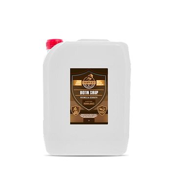 

Topvet Sirup Biotin s boswelií 5 l