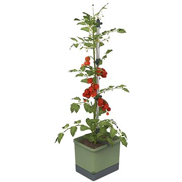 

Gusta Garden TOM TOMATO Standard samozavlažovací truhlík, tmavě zelený