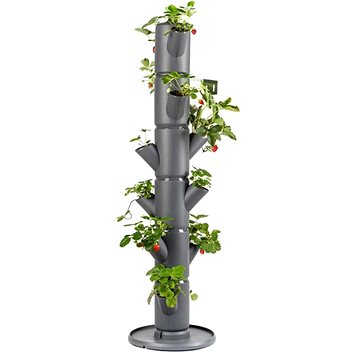 

Gusta Garden SISSI STRAWBERRY classic samozavlažovací truhlík 6 pater, antracit
