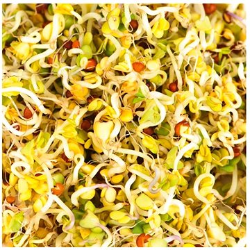 

Gusta Garden Microgreens Broccoli (Brokolice) 4ks