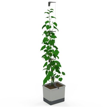 

Gusta Garden CURT CUCUMBER samozavlažovací, světle šedý