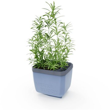 

Gusta Garden HERBS BUDDY samozavlažovací, modrý
