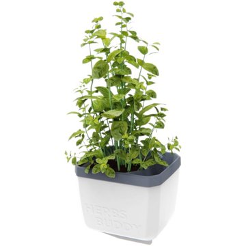 

Gusta Garden HERBS BUDDY samozavlažovací, bílý