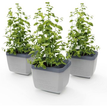 

Gusta Garden HERBS BUDDY samozavlažovací, světle šedý, 3 ks