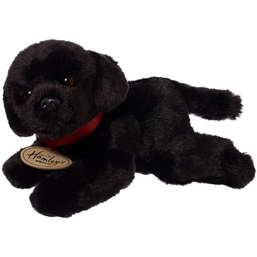 black labrador teddy