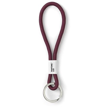 

PANTONE Poutko na klíče S - Aubergine 229