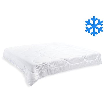 

Brotex Francouzská přikrývka Thermo 200 × 200 cm celoroční 1600 g (400 g/m2)