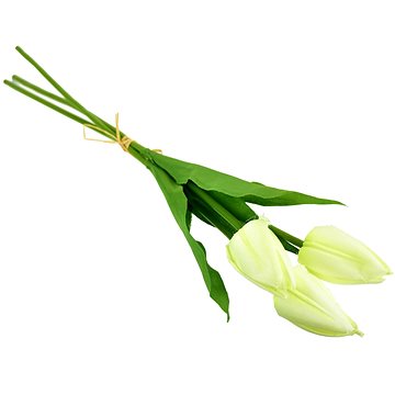 

DOMMIO Svazek 3 ks tulipánů, krémové, 50 cm