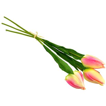 

DOMMIO Svazek 3 ks tulipánů, růžové, 50 cm