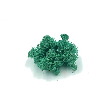 

DECO Dekorativní Sobí mech Naturel Pacific Green 500 g - pacifická zelená