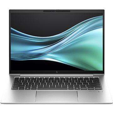 

HP EliteBook 845 G11 Silver