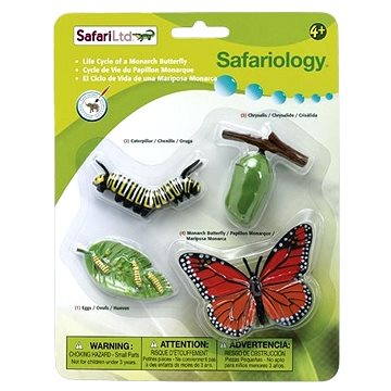

Safari Ltd. Životní cyklus - Motýl