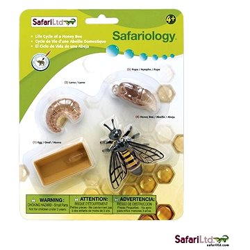 

Safari Ltd. Životní cyklus - Včela