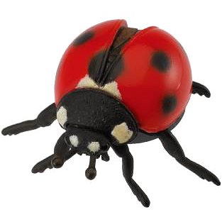 

COLLECTA Beruška